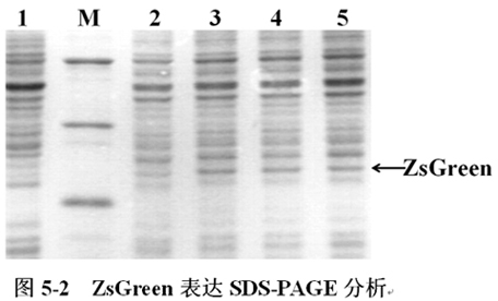 732b8d93-9c35-4f39-bb49-02c74b58183a 兰科博弈(RankBet)有限公司官网