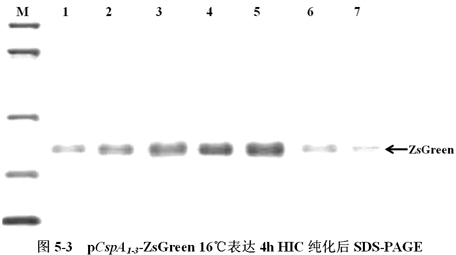 a40519cf-f397-496a-8aa8-d13b6654a000 兰科博弈(RankBet)有限公司官网