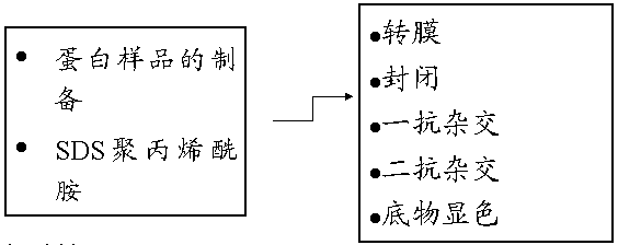 d1103a61-9700-4400-95b7-9b214bb5a857 兰科博弈(RankBet)有限公司官网