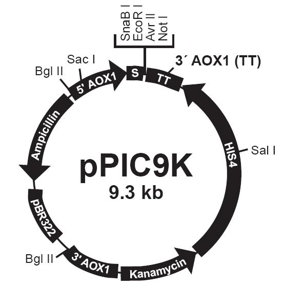 1996a145-e6a8-4938-bd5b-95e6083be836 兰科博弈(RankBet)有限公司官网