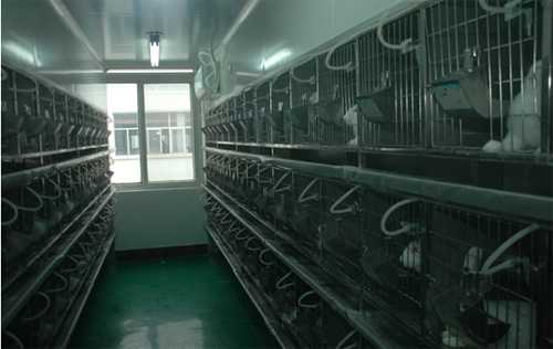 兰科博弈RankBet尝试动物房