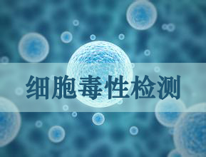 细胞毒性检测 细胞毒性检测