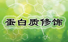 兰科博弈(RankBet)有限公司官网