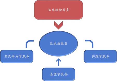 兰科博弈RankBet临床前服务 兰科博弈RankBet临床前服务