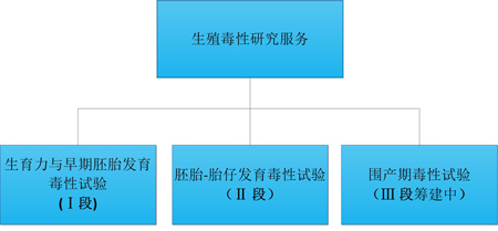 兰科博弈RankBet的生殖毒性服务 兰科博弈RankBet的生殖毒性服务