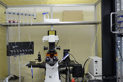 Patch Clamp(膜片钳) Patch Clamp(膜片钳)