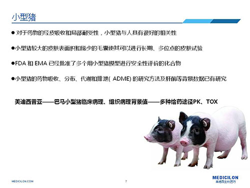 皮肤涂抹试验中，受试动物选择幼型猪更好