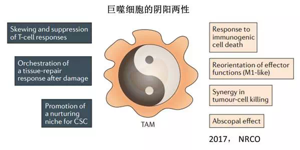 兰科博弈(RankBet)有限公司官网