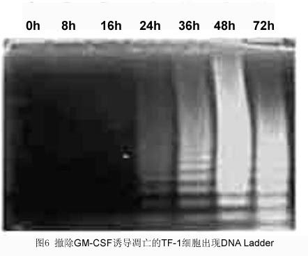 f0891cfb-1c45-4df1-8e14-59d58f6ba080 兰科博弈(RankBet)有限公司官网