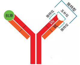 c32eb065-09bf-4fe3-8518-70af52c13090 兰科博弈(RankBet)有限公司官网
