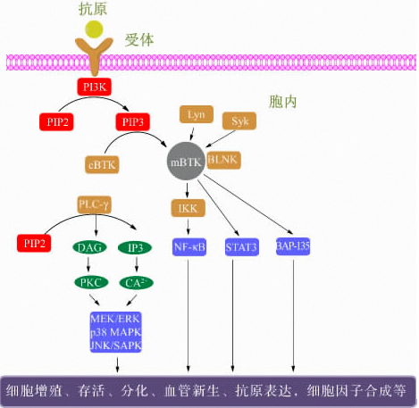 b6a0e2b1-e879-4009-a527-fb551225105e 兰科博弈(RankBet)有限公司官网