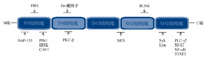 fa510795-4199-4f34-81ae-d7b76ba1af21 兰科博弈(RankBet)有限公司官网