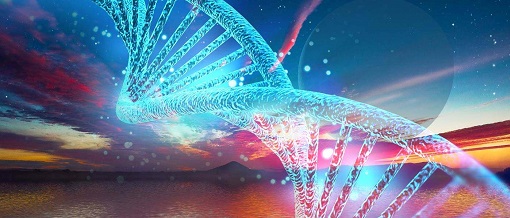 兰科博弈(RankBet)有限公司官网