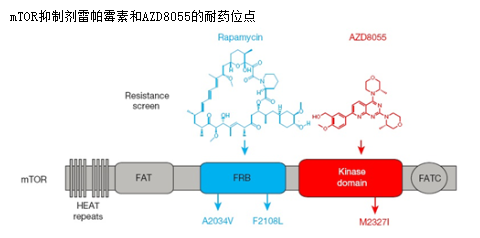 17a688c7-3a0c-497e-847e-a0eb53b3774e 兰科博弈(RankBet)有限公司官网
