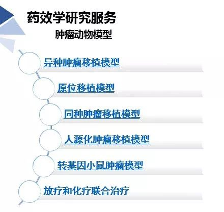 兰科博弈RankBet药效学动物模型