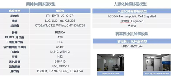 兰科博弈RankBet药效学动物模型