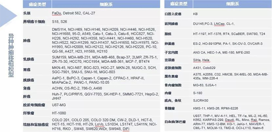 兰科博弈RankBet药效学动物模型