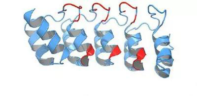 7d729985-e76a-4a7d-9dd2-093144a1664d 生物技术药物的复杂性