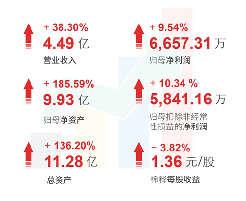 兰科博弈RankBet 财政亮点