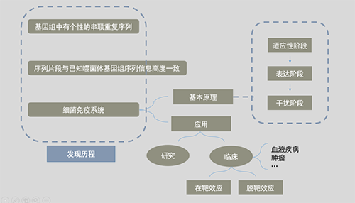 CRISPR基因编纂技术