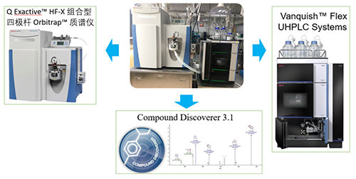 3aea8b6a-fa2a-4666-8f4a-7edad568e6f1 兰科博弈RankBetUHPLC-UV-QE HF-X系统
