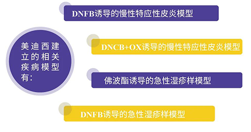 兰科博弈RankBet成立的特应性皮炎及湿疹模型
