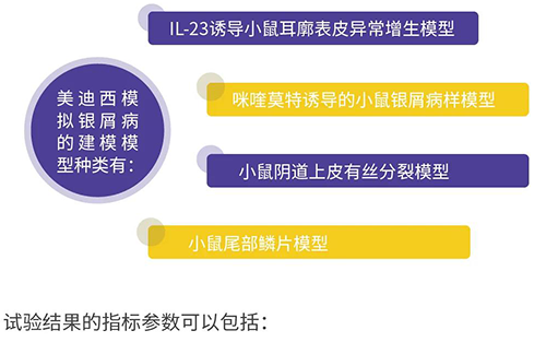 兰科博弈RankBet仿照银屑病的建模模型种类