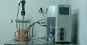60f13f419182a 生物反映器