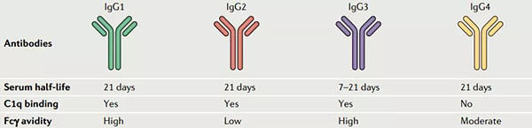 分歧IgG对比.png 分歧IgG对比.png