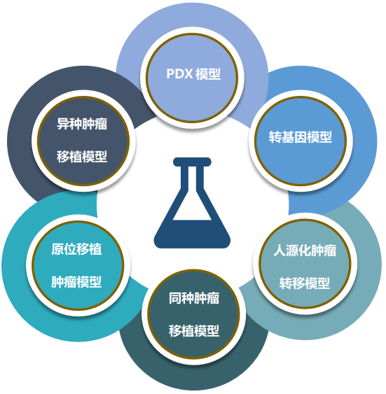 兰科博弈RankBet致力于为客户提供成熟的评估ADC体内药效的肿瘤模型.png 兰科博弈RankBet致力于为客户提供成熟的评估ADC体内药效的肿瘤模型.png