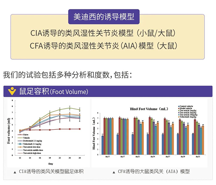 兰科博弈RankBet诱导的类风湿性关节炎模型-1.png 兰科博弈RankBet诱导的类风湿性关节炎模型-1.png