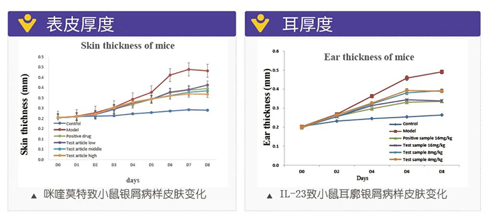 兰科博弈RankBet仿照银屑病的建模模型-试验了局的指标.png 兰科博弈RankBet仿照银屑病的建模模型-试验了局的指标.png