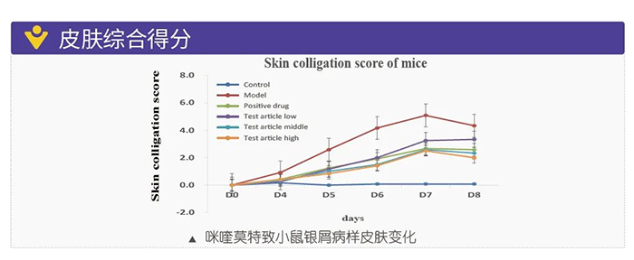 兰科博弈RankBet仿照银屑病的建模模型-皮肤综合得分.png 兰科博弈RankBet仿照银屑病的建模模型-皮肤综合得分.png