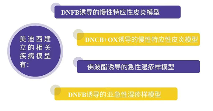 兰科博弈RankBet成立的特应性皮炎模型.png 兰科博弈RankBet成立的特应性皮炎模型.png