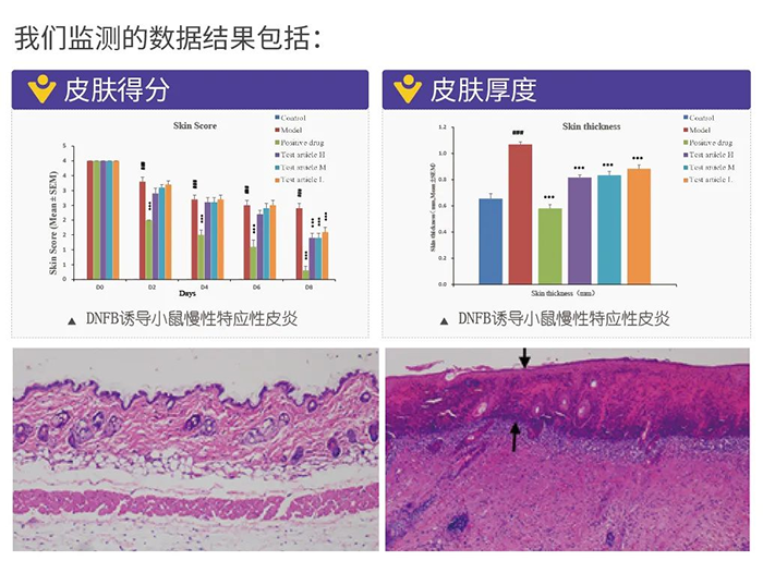 兰科博弈RankBet监测的数据了局.png 兰科博弈RankBet监测的数据了局.png