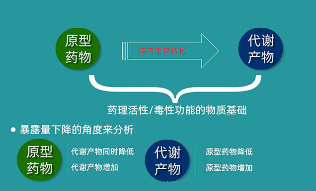 为何药物系统露出量AUC在给药中后期会忽然降低.jpg