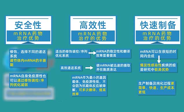 mRNA药物医治的优势有哪些.jpg mRNA药物医治的优势有哪些.jpg