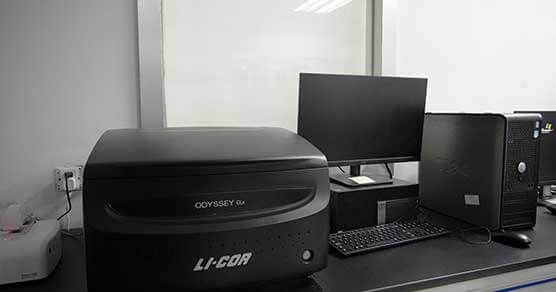 63735133e5c36 Two-color-infrared-laser-imager