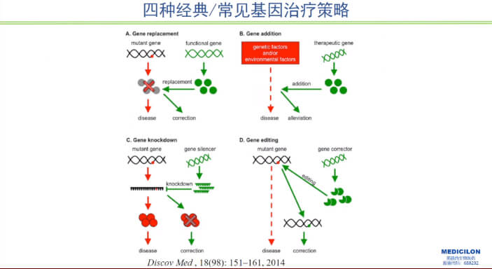 图1-四种经典常见基因医治战术.jpg 图1-四种经典常见基因医治战术.jpg