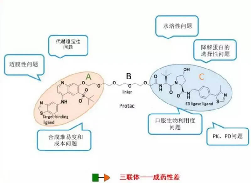 PROTAC分子量较大，溶化性较差.jpg