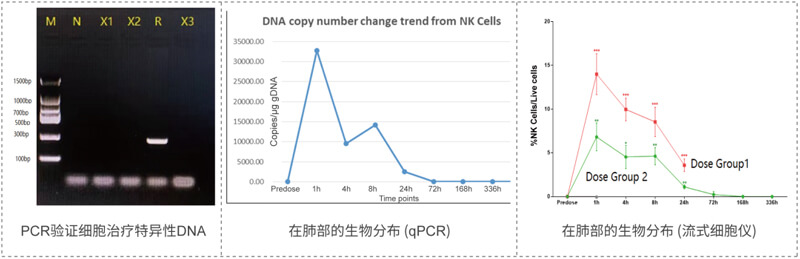 qPCR和流式细胞术得到的检测了局一致.jpg