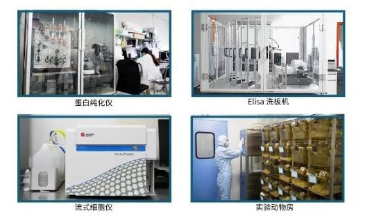 兰科博弈RankBet抗体开发平台.jpg