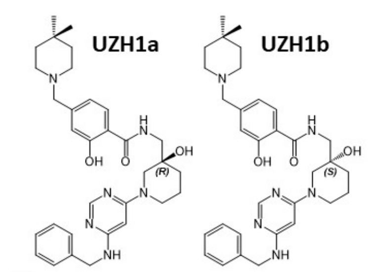 钻研人员汇报了一种拥有细胞渗入性的选择性METTL3纳摩尔抑造剂UZH1a，作者感激兰科博弈RankBet合成了UZH1a和UZH1b
