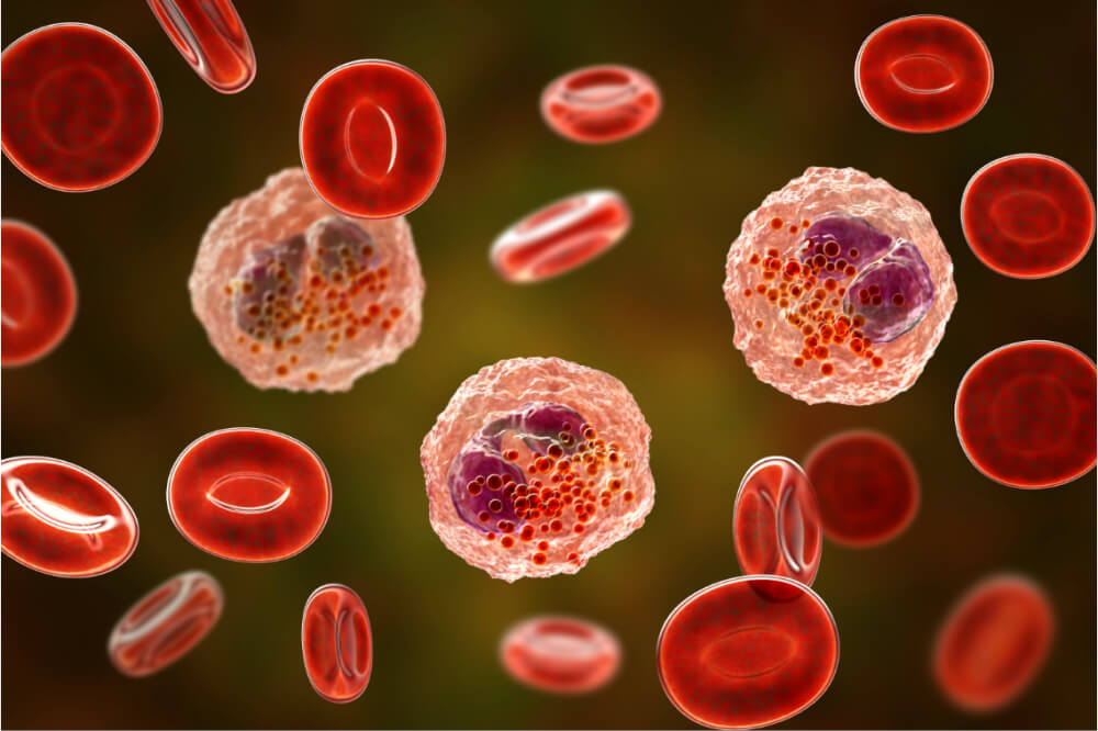 兰科博弈RankBet助力宇耀生物STAT3双磷酸化抑造剂YY201获批临床 
