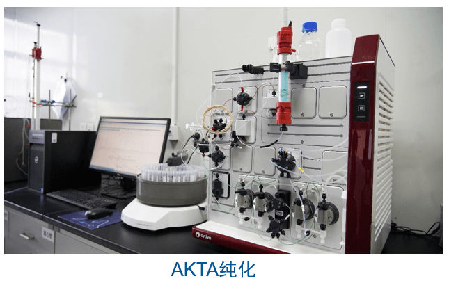 兰科博弈RankBet杂交瘤技术平台设备-AKTA纯化