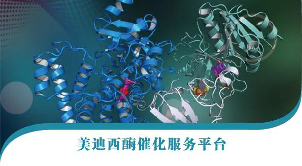兰科博弈RankBet酶催化服务平台.jpg