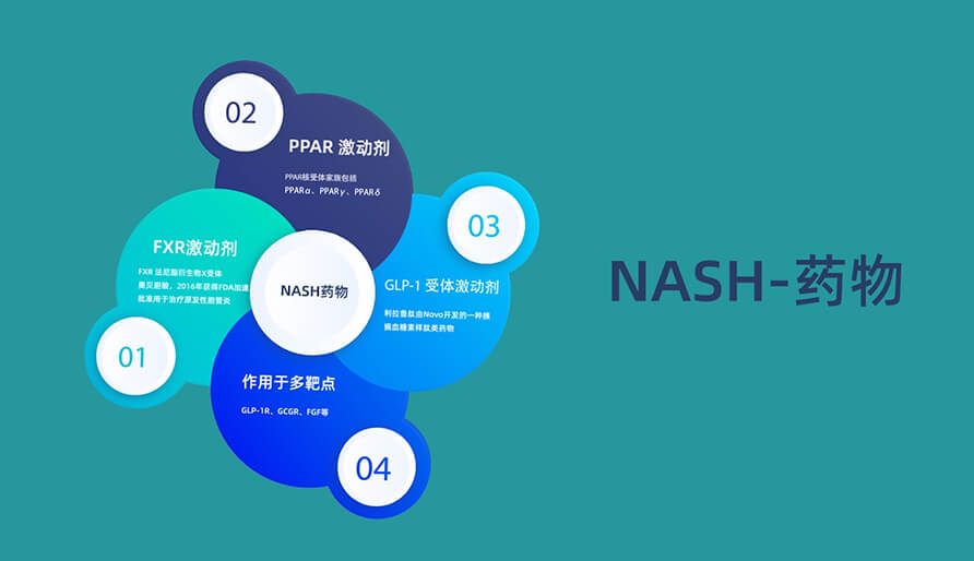 针对NASH非酒精性脂肪肝病有哪些分歧的新药类型(HD).jpg 针对NASH非酒精性脂肪肝病有哪些分歧的新药类型(HD).jpg