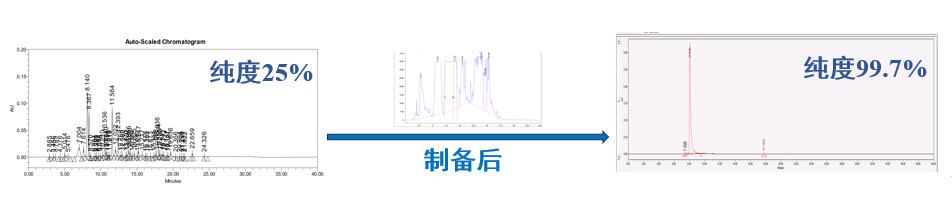 案例一:仿造药发补:大极性杂质造备.jpg 案例一:仿造药发补:大极性杂质造备.jpg