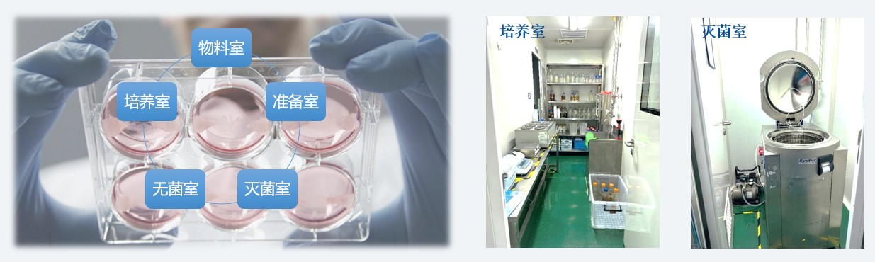 微生物尝试室-造就室和灭菌室.jpg 微生物尝试室-造就室和灭菌室.jpg