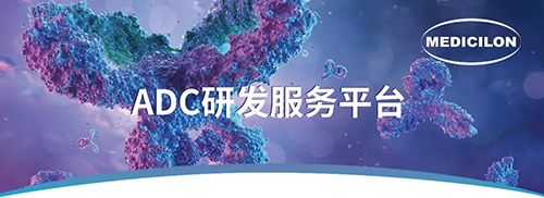 ADC临床前钻研.jpg ADC临床前钻研.jpg
